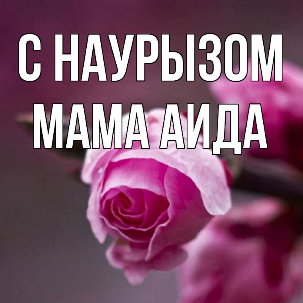 Открытка на каждый день с именем, Мама-Аида С наурызом весна Прикольная открытка с пожеланием онлайн скачать бесплатно 