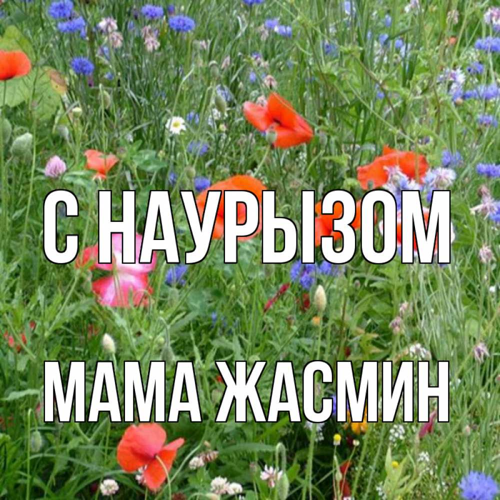 Открытка на каждый день с именем, Мама-Жасмин С наурызом праздник весны наурыз супер открытка Прикольная открытка с пожеланием онлайн скачать бесплатно 