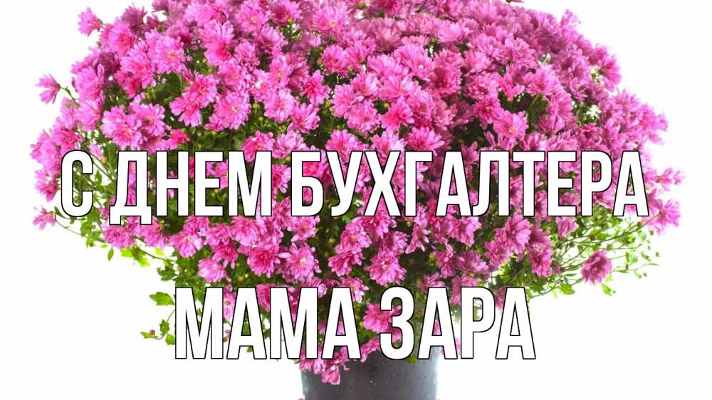 Открытка на каждый день с именем, Мама-Зара С днем бухгалтера с днем бухгалтера Прикольная открытка с пожеланием онлайн скачать бесплатно 
