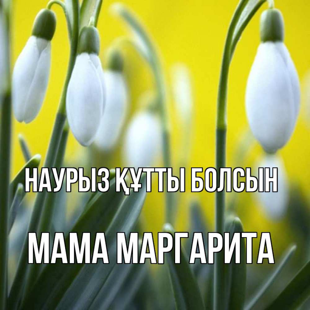 Открытка на каждый день с именем, Мама-Маргарита Наурыз құтты болсын весенние цветы Прикольная открытка с пожеланием онлайн скачать бесплатно 