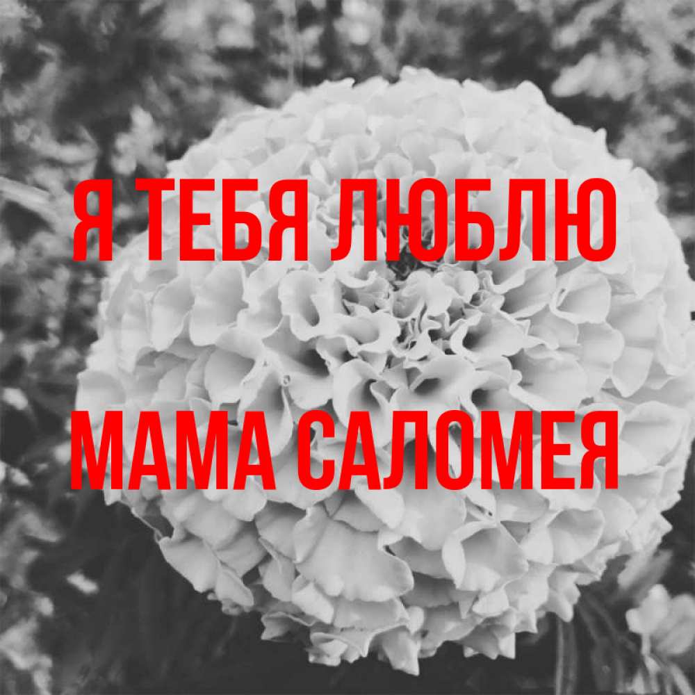 Открытка на каждый день с именем, Мама-Саломея Я тебя люблю подпись Прикольная открытка с пожеланием онлайн скачать бесплатно 