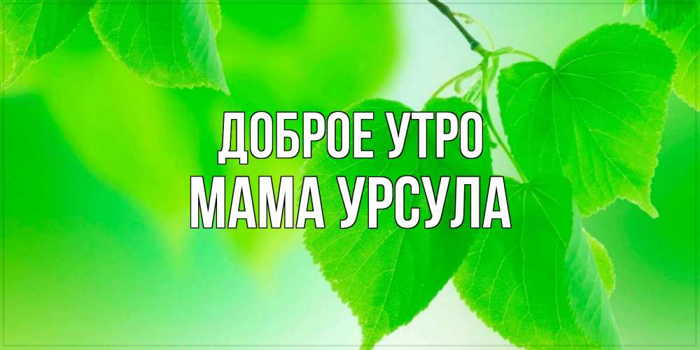 Открытка на каждый день с именем, Мама-Урсула Доброе утро доброе утро с березовыми листьями Прикольная открытка с пожеланием онлайн скачать бесплатно 