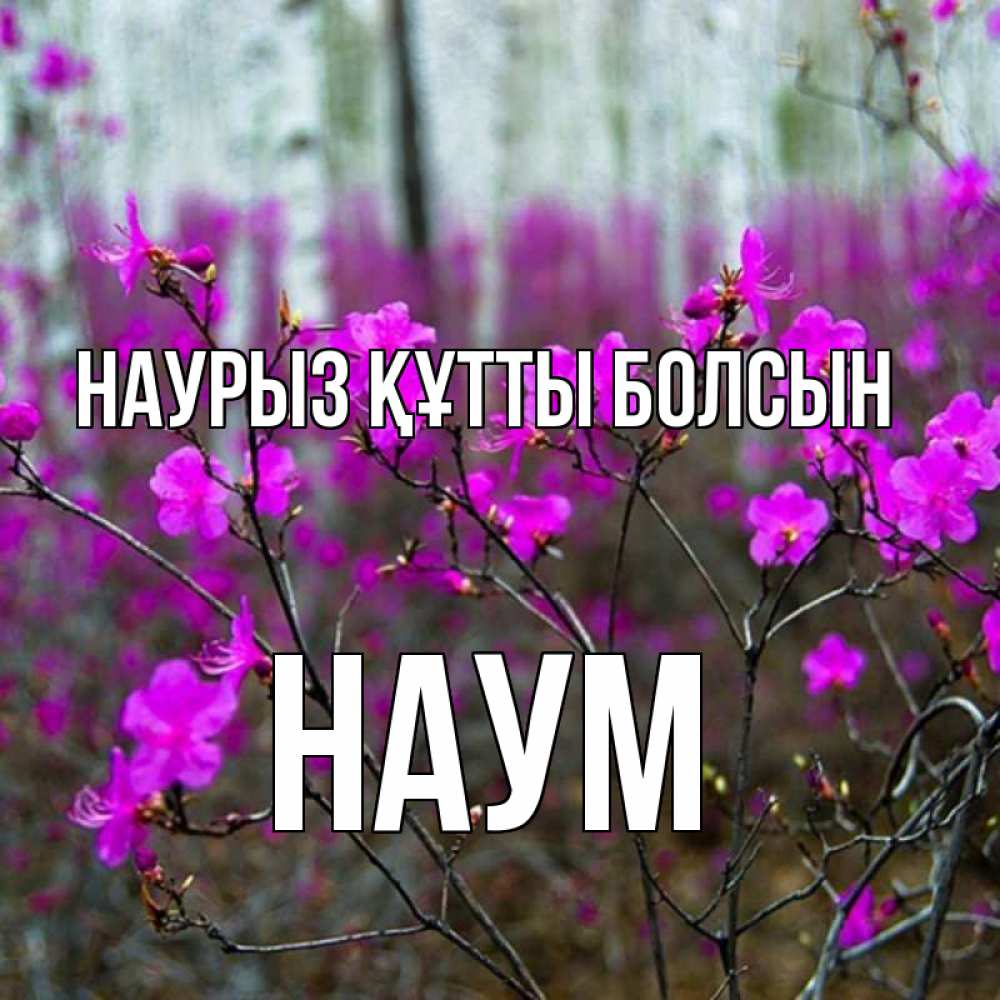 Открытка на каждый день с именем, Наум Наурыз құтты болсын дикие цветы Прикольная открытка с пожеланием онлайн скачать бесплатно 