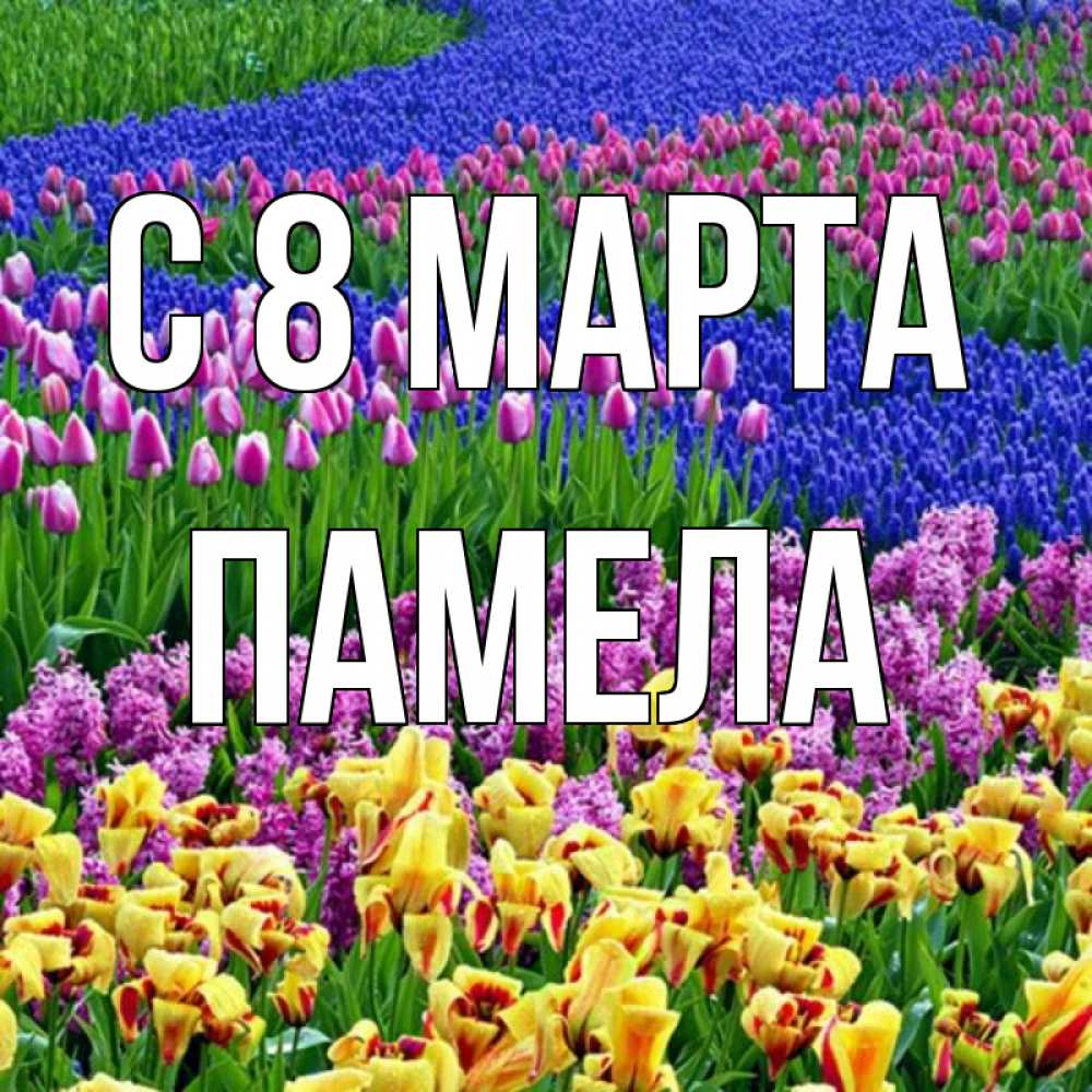 Открытка на каждый день с именем, Памела С 8 МАРТА цветы Прикольная открытка с пожеланием онлайн скачать бесплатно 