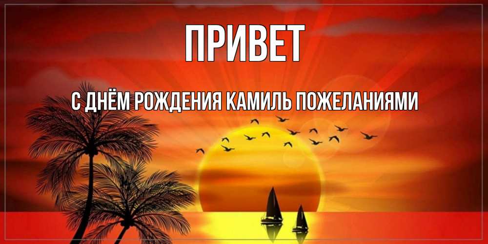 Открытка на каждый день с именем, С-днём-рождения-Камиль-пожеланиями Привет привет Прикольная открытка с пожеланием онлайн скачать бесплатно 