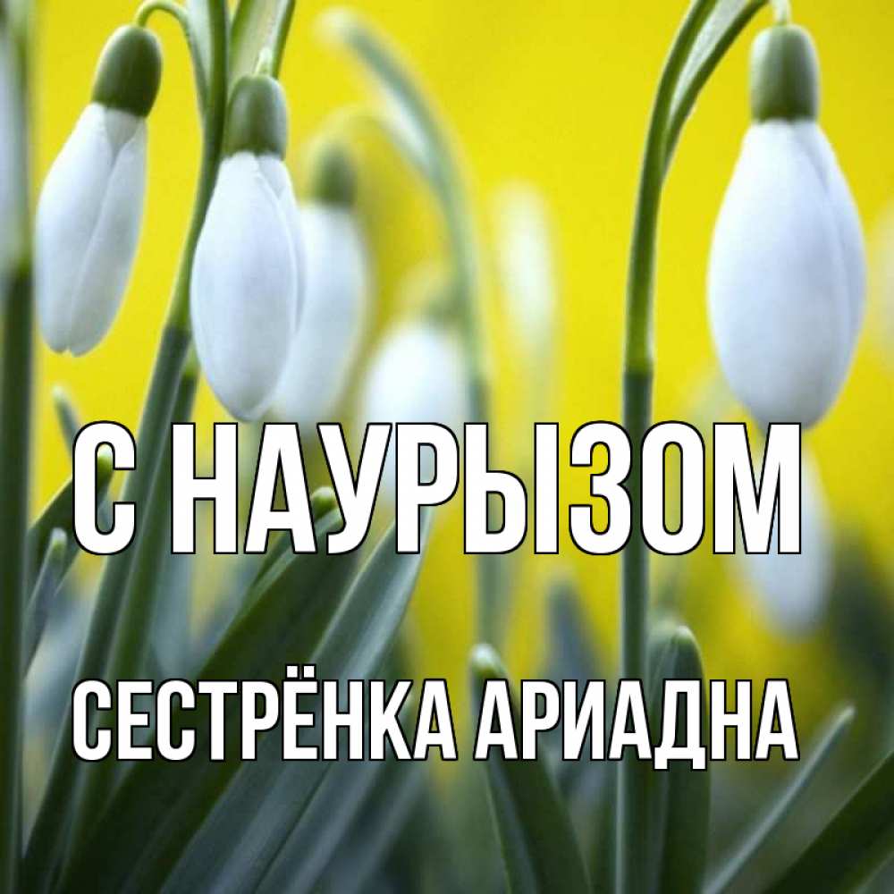 Открытка на каждый день с именем, Сестрёнка-Ариадна С наурызом весенние цветы Прикольная открытка с пожеланием онлайн скачать бесплатно 