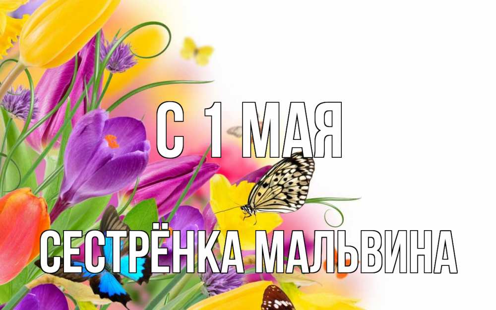 Открытка на каждый день с именем, Сестрёнка-Мальвина С 1 мая С 1 мая Прикольная открытка с пожеланием онлайн скачать бесплатно 