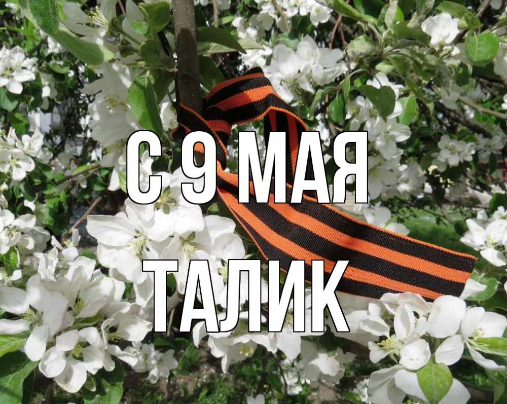 Открытка на каждый день с именем, Талик С 9 мая 9 мая Прикольная открытка с пожеланием онлайн скачать бесплатно 