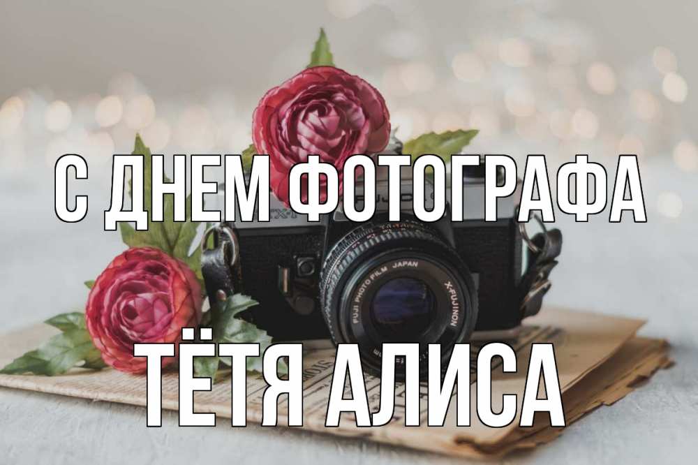 Открытка на каждый день с именем, Тётя-Алиса С днем фотографа с днем фотографа Прикольная открытка с пожеланием онлайн скачать бесплатно 