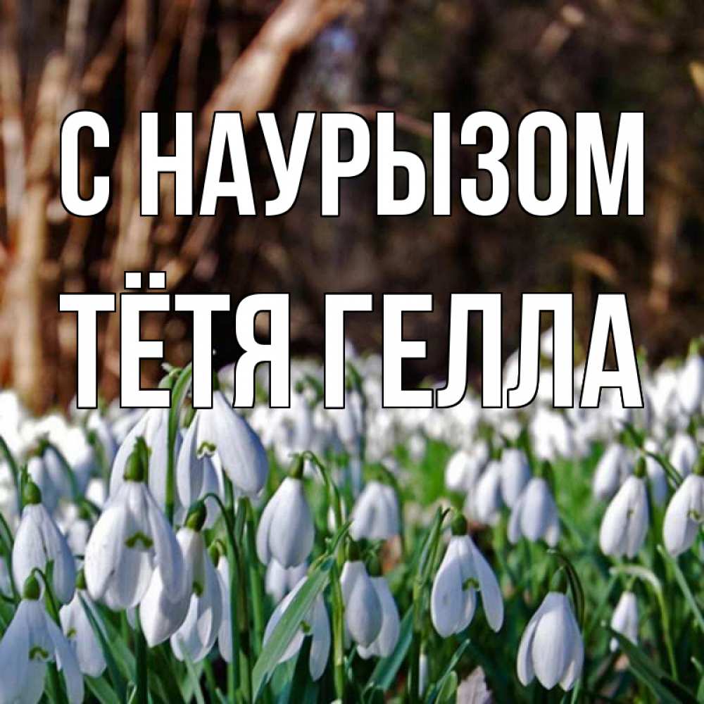 Открытка на каждый день с именем, Тётя-Гелла С наурызом с подснежниками 1 Прикольная открытка с пожеланием онлайн скачать бесплатно 