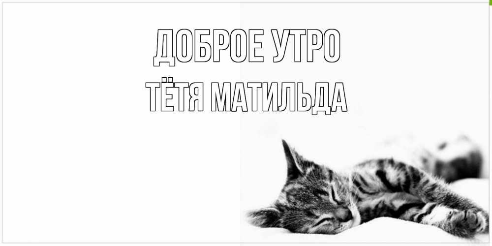 Открытка на каждый день с именем, Тётя-Матильда Доброе утро котуся Прикольная открытка с пожеланием онлайн скачать бесплатно 