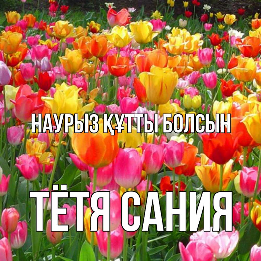 Открытка на каждый день с именем, Тётя-Сания Наурыз құтты болсын на наурыз  ура ура Прикольная открытка с пожеланием онлайн скачать бесплатно 