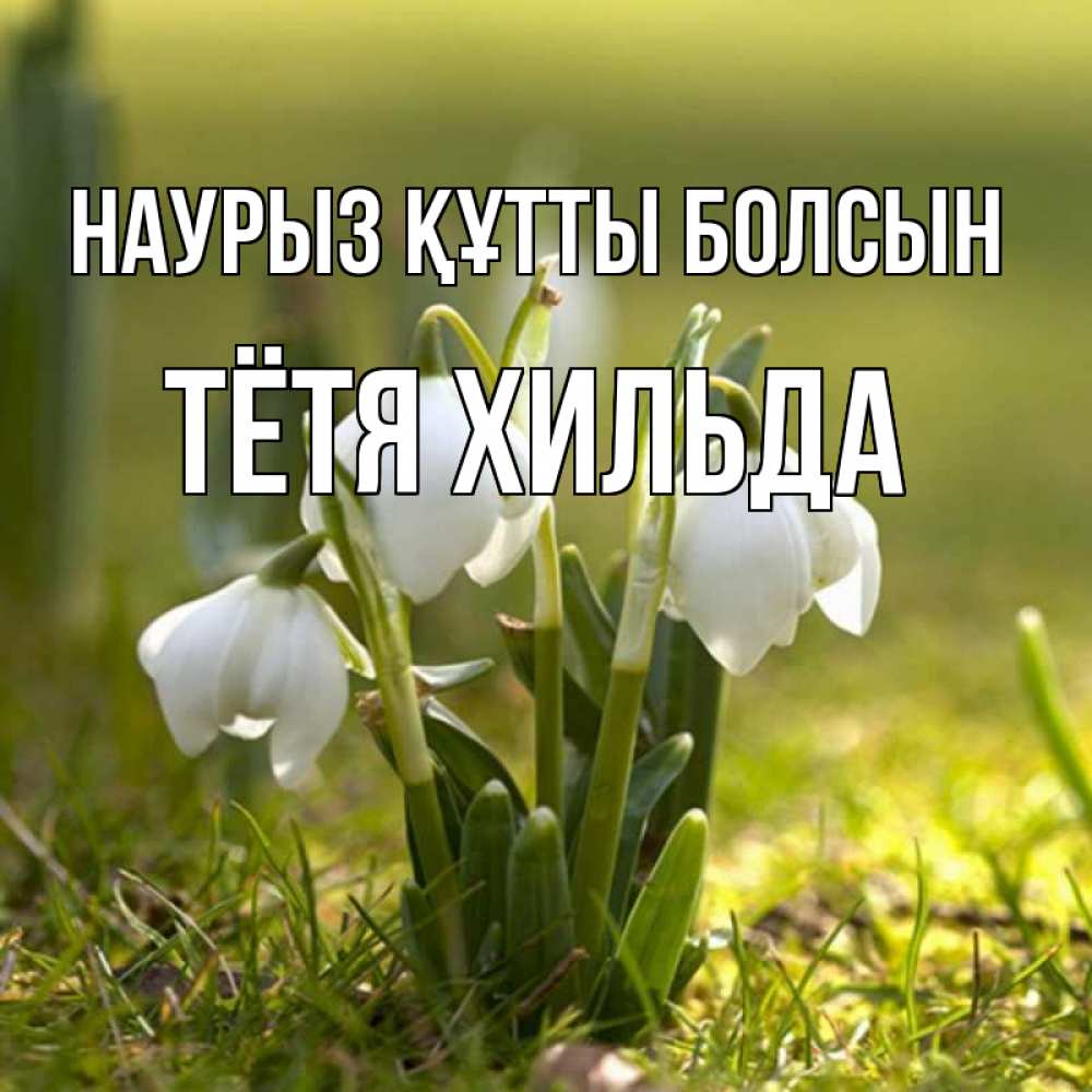 Открытка на каждый день с именем, Тётя-Хильда Наурыз құтты болсын ранние цветы 2 Прикольная открытка с пожеланием онлайн скачать бесплатно 