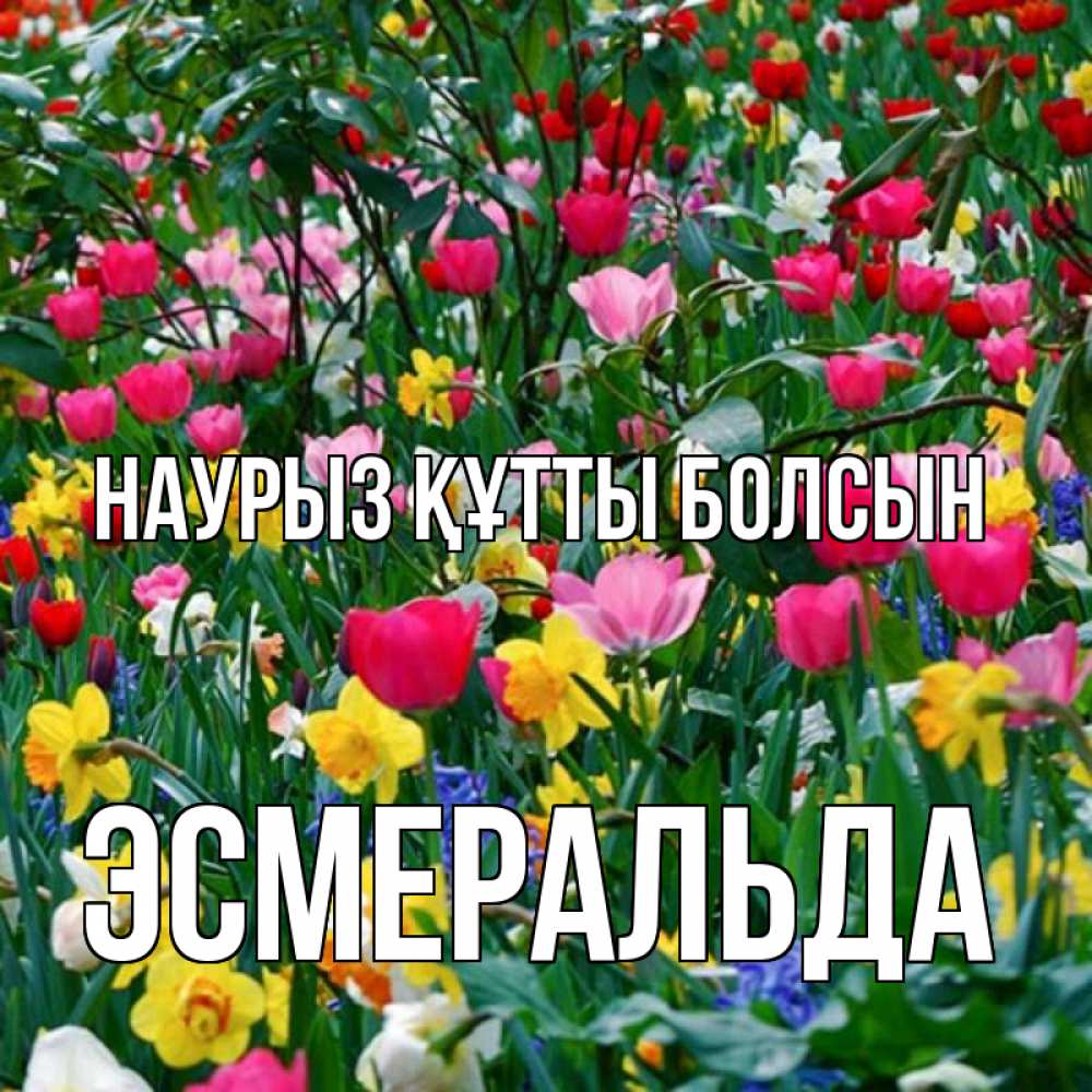 Открытка на каждый день с именем, Эсмеральда Наурыз құтты болсын с наурызом поздравления для женщины Прикольная открытка с пожеланием онлайн скачать бесплатно 