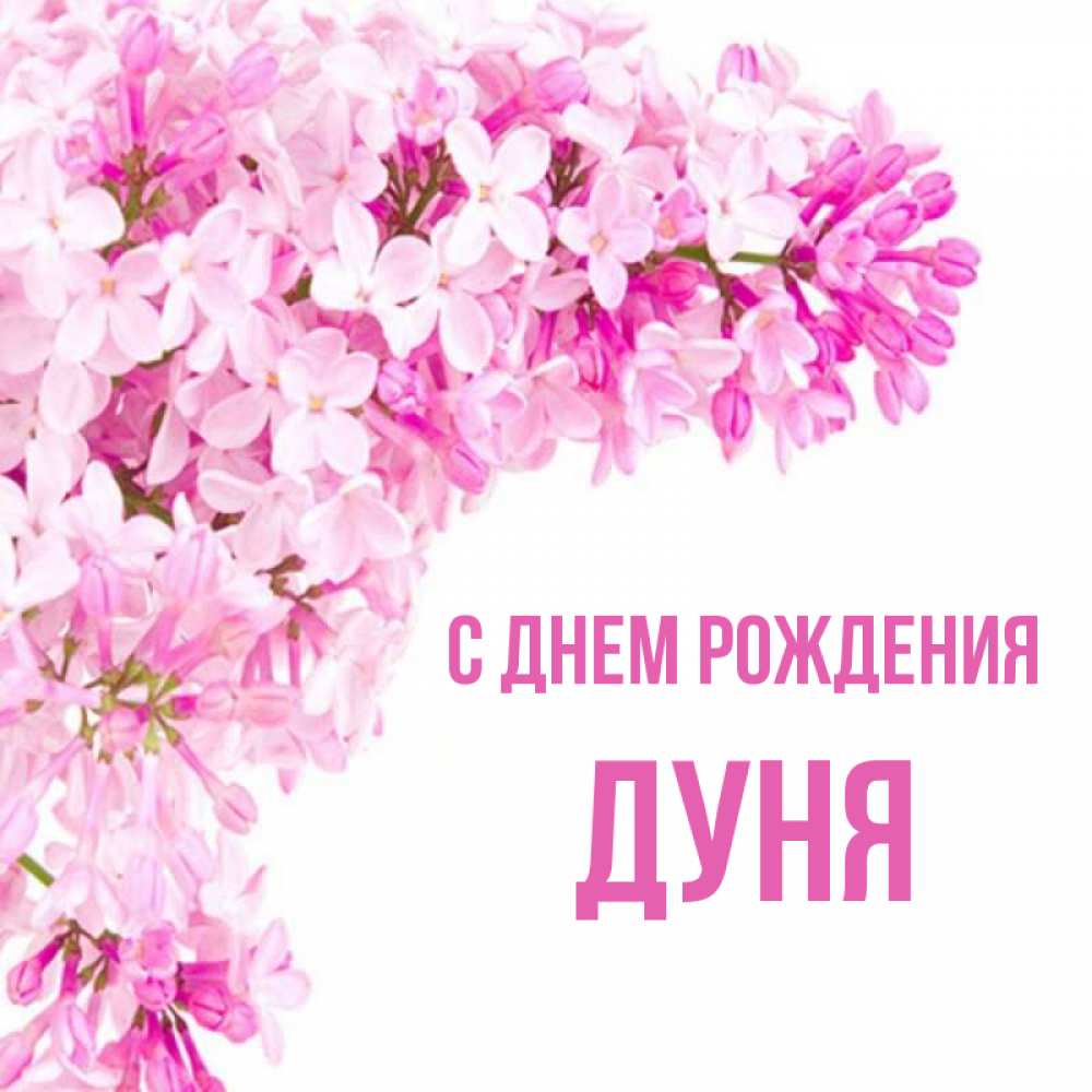 Имя дуня