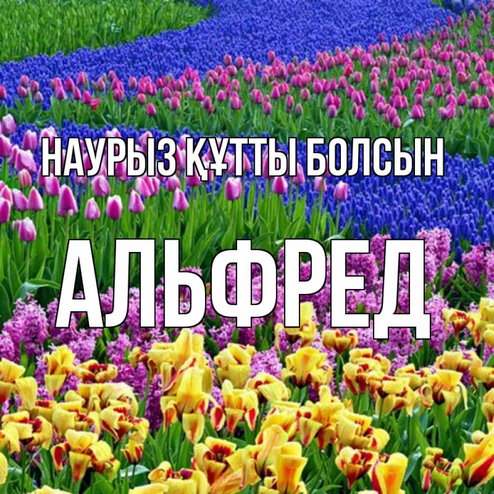 Открытка на каждый день с именем, Альфред Наурыз құтты болсын цветы Прикольная открытка с пожеланием онлайн скачать бесплатно 