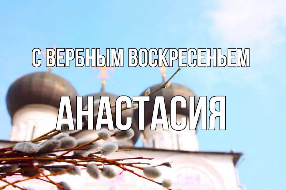 Открытка на каждый день с именем, Анастасия С вербным воскресеньем верба Прикольная открытка с пожеланием онлайн скачать бесплатно 
