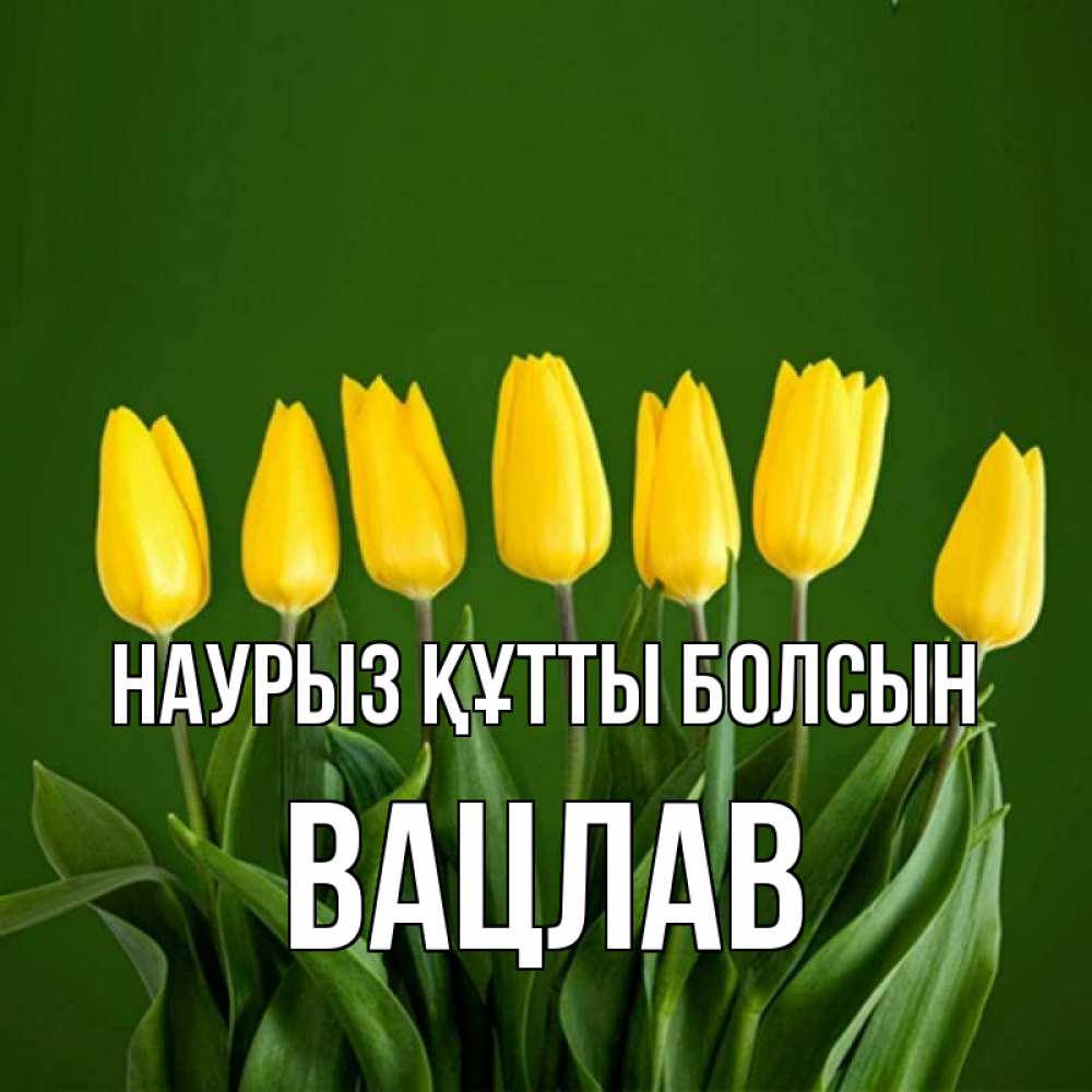 Открытка на каждый день с именем, Вацлав Наурыз құтты болсын желтого цвета 3 Прикольная открытка с пожеланием онлайн скачать бесплатно 