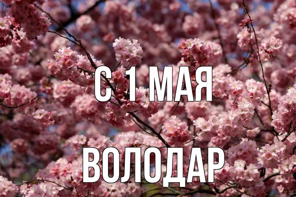 Открытка на каждый день с именем, Володар С 1 мая С 1 мая Прикольная открытка с пожеланием онлайн скачать бесплатно 