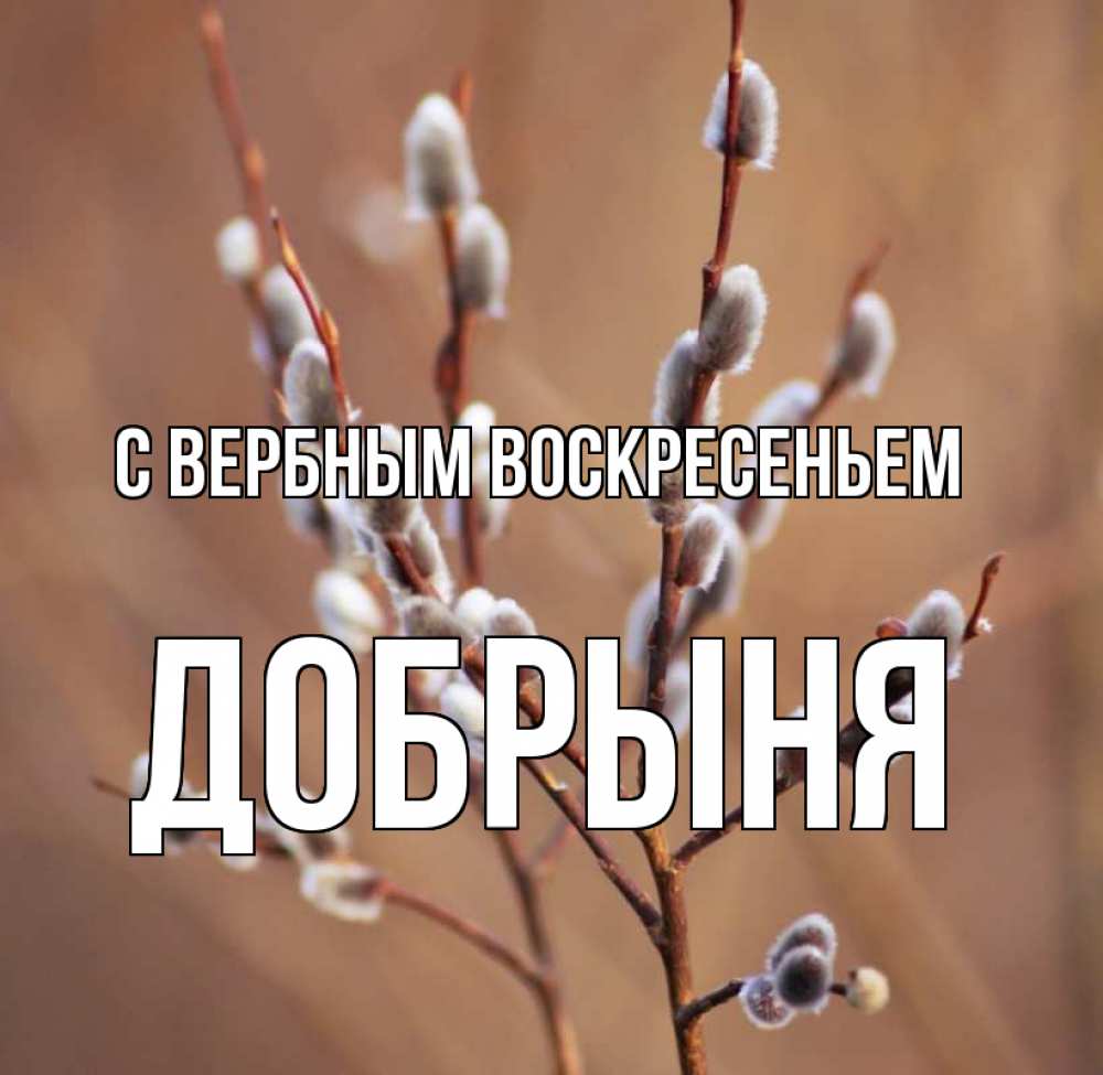 Открытка на каждый день с именем, Добрыня С вербным воскресеньем верба Прикольная открытка с пожеланием онлайн скачать бесплатно 