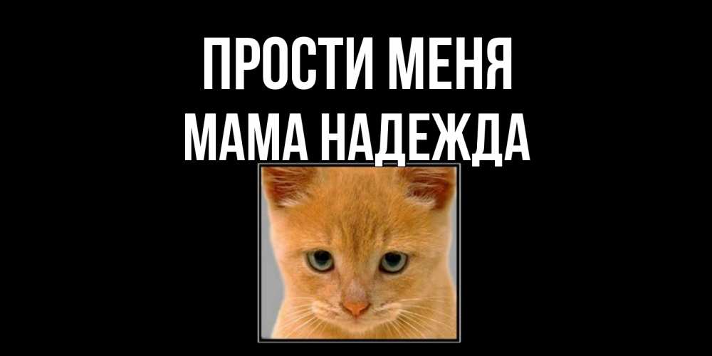 Открытка на каждый день с именем, Мама-Надежда Прости меня рыжий грустный кот просит прощения Прикольная открытка с пожеланием онлайн скачать бесплатно 