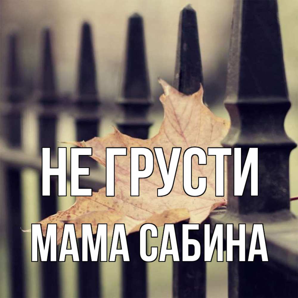 Открытка на каждый день с именем, Мама-Сабина Не грусти лист клена Прикольная открытка с пожеланием онлайн скачать бесплатно 