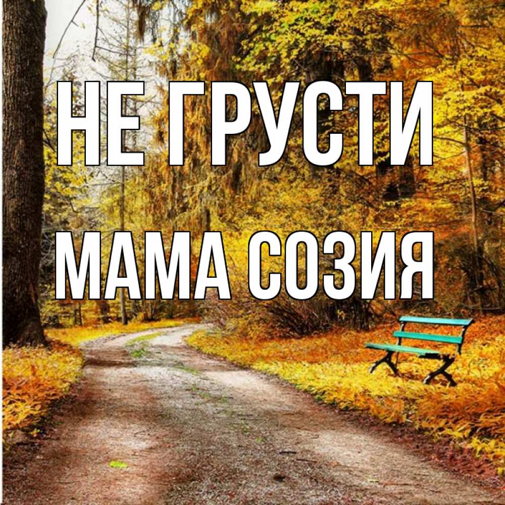 Открытка на каждый день с именем, Мама-Созия Не грусти зеленая лавочка Прикольная открытка с пожеланием онлайн скачать бесплатно 
