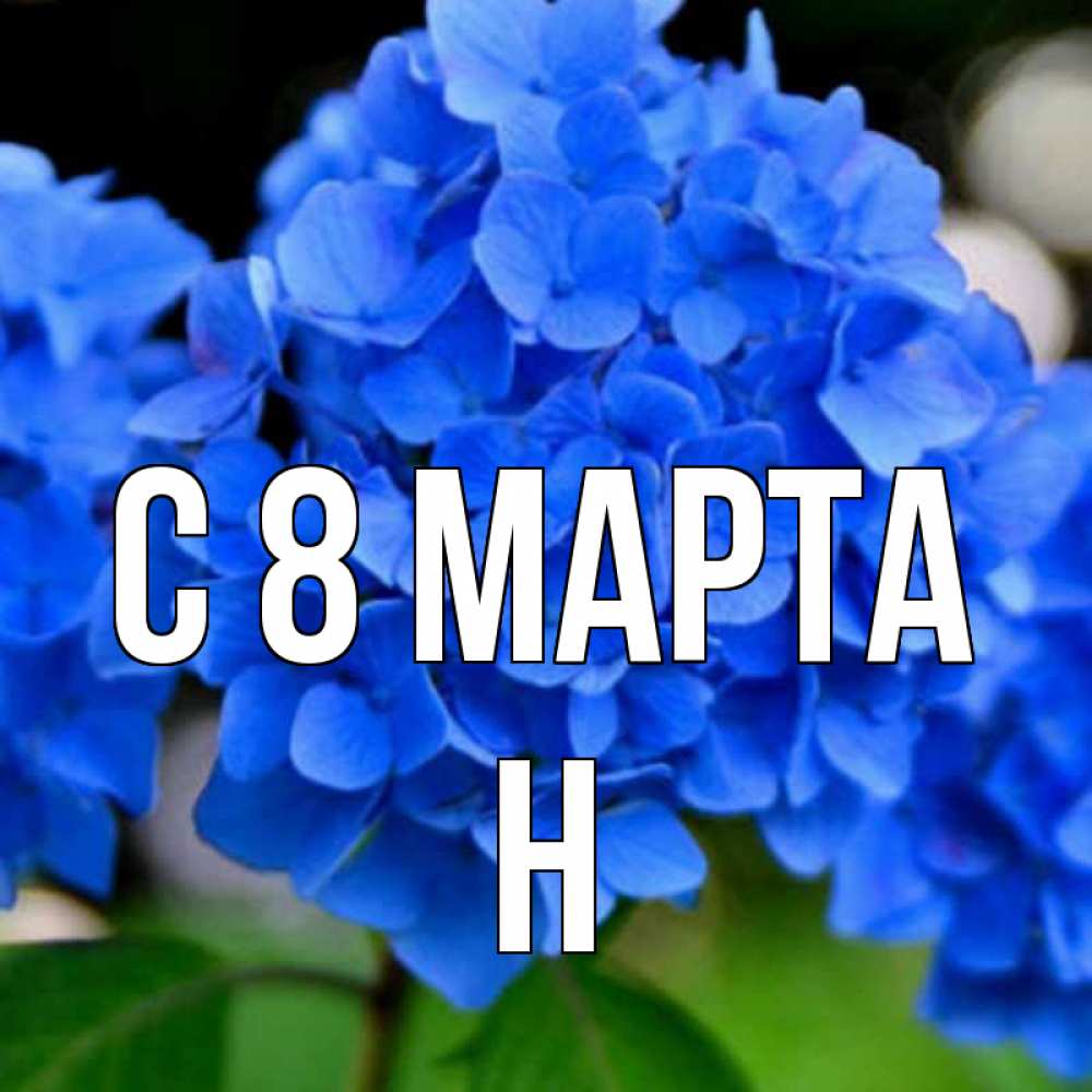 Открытка на каждый день с именем, Н С 8 марта синие цветы Прикольная открытка с пожеланием онлайн скачать бесплатно 