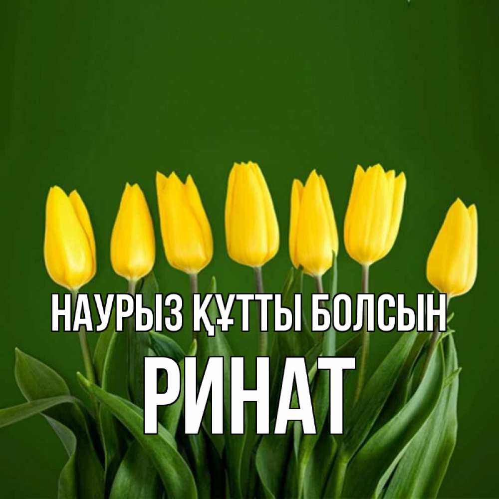 Открытка на каждый день с именем, Ринат Наурыз құтты болсын желтого цвета 3 Прикольная открытка с пожеланием онлайн скачать бесплатно 