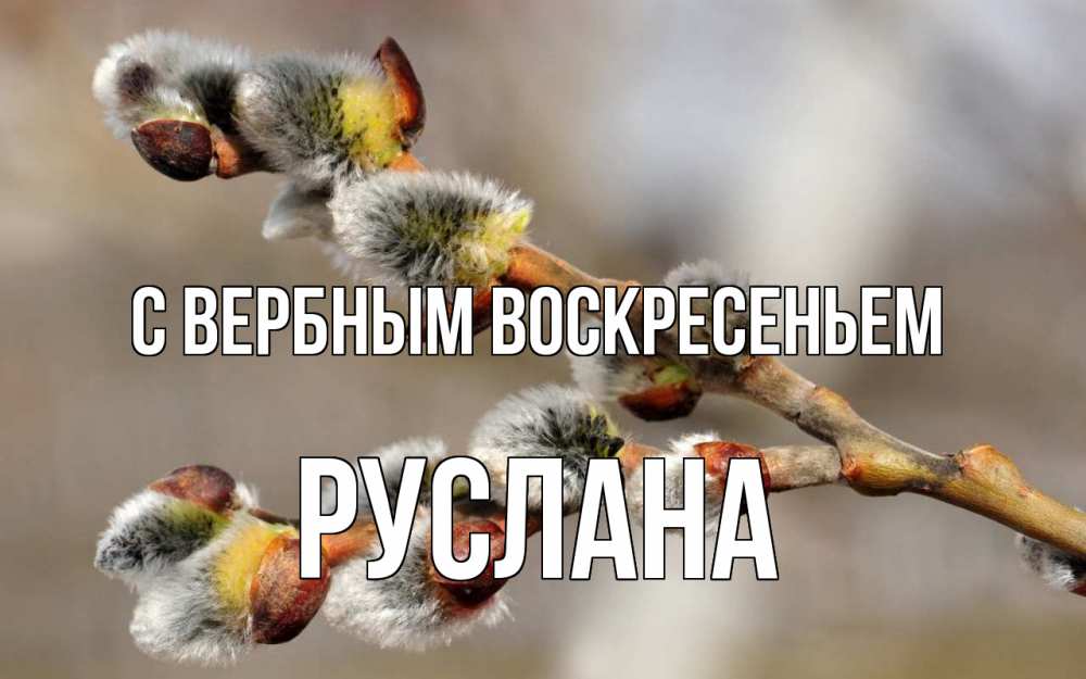Открытка на каждый день с именем, Руслана С вербным воскресеньем Верба Прикольная открытка с пожеланием онлайн скачать бесплатно 