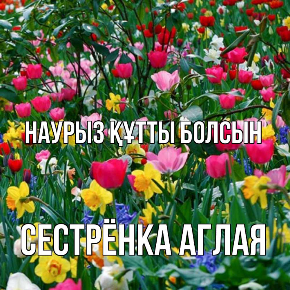 Открытка на каждый день с именем, Сестрёнка-Аглая Наурыз құтты болсын с наурызом поздравления для женщины Прикольная открытка с пожеланием онлайн скачать бесплатно 