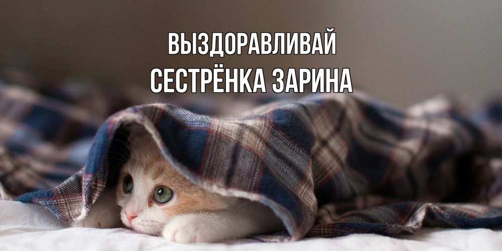 Открытка на каждый день с именем, Сестрёнка-Зарина Выздоравливай не болейте с котиком Прикольная открытка с пожеланием онлайн скачать бесплатно 