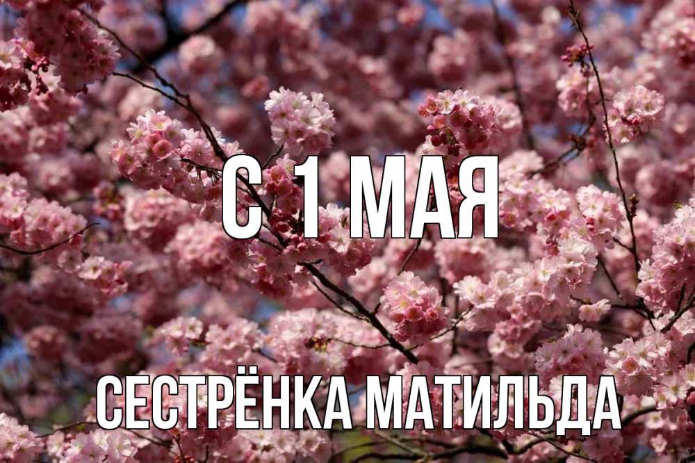 Открытка на каждый день с именем, Сестрёнка-Матильда С 1 мая С 1 мая Прикольная открытка с пожеланием онлайн скачать бесплатно 