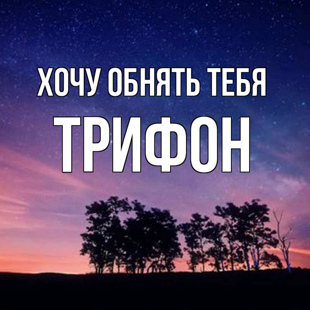 Открытка на каждый день с именем, Трифон Хочу обнять тебя силуэты деревьев Прикольная открытка с пожеланием онлайн скачать бесплатно 