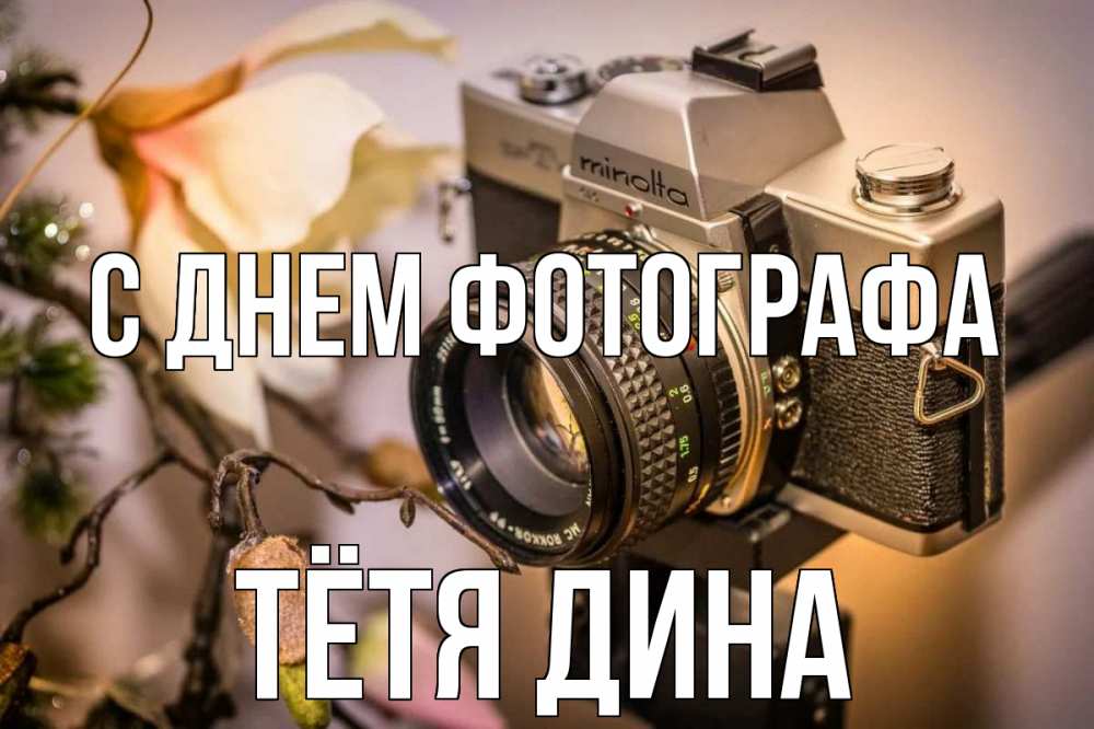 Открытка на каждый день с именем, Тётя-Дина С днем фотографа с днем фотографа 1 Прикольная открытка с пожеланием онлайн скачать бесплатно 