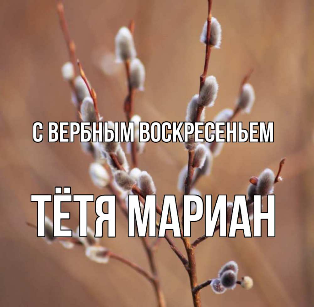 Открытка на каждый день с именем, Тётя-Мариан С вербным воскресеньем верба Прикольная открытка с пожеланием онлайн скачать бесплатно 