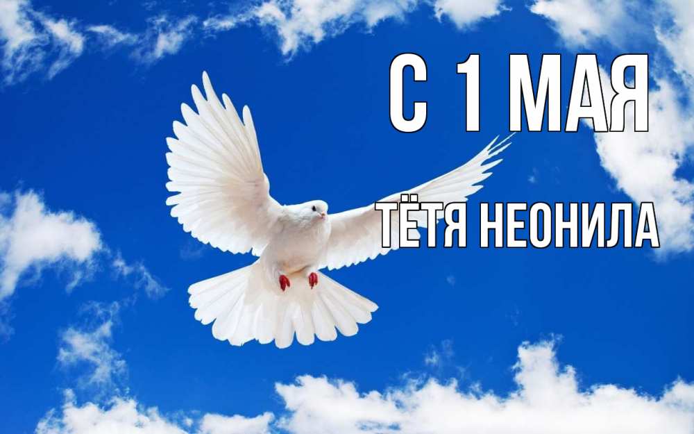 Открытка на каждый день с именем, Тётя-Неонила С 1 мая С 1 мая 1 Прикольная открытка с пожеланием онлайн скачать бесплатно 