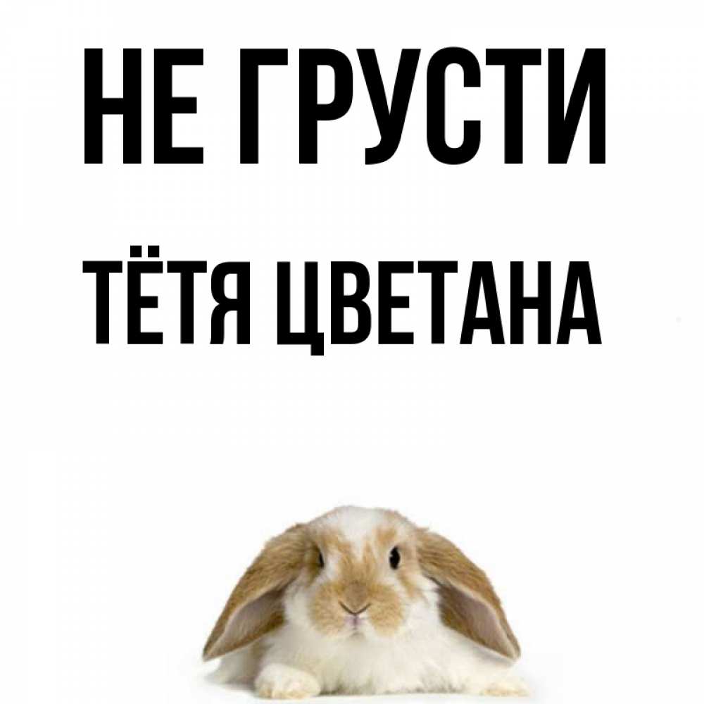 Открытка на каждый день с именем, Тётя-Цветана Не грусти коричнево белый заяц с большими ушками Прикольная открытка с пожеланием онлайн скачать бесплатно 