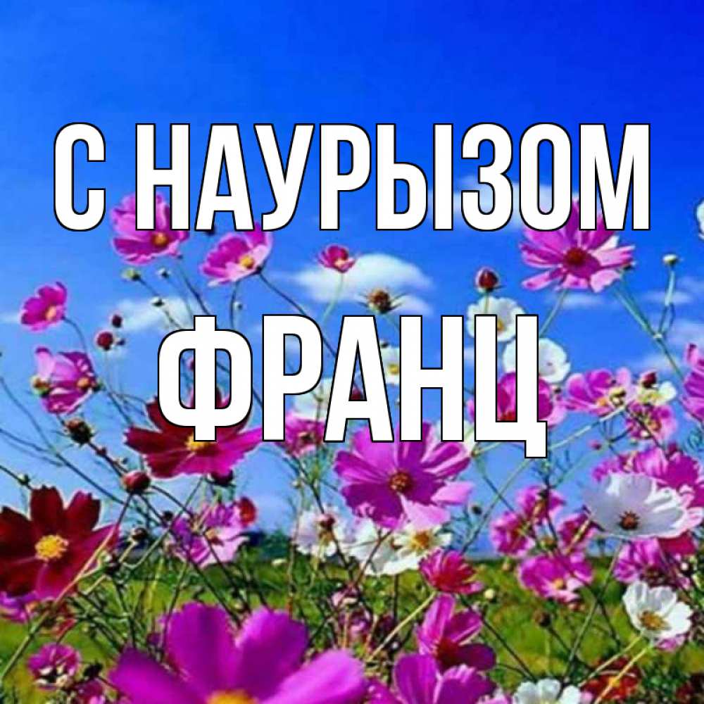 Открытка на каждый день с именем, Франц С наурызом цветы Прикольная открытка с пожеланием онлайн скачать бесплатно 