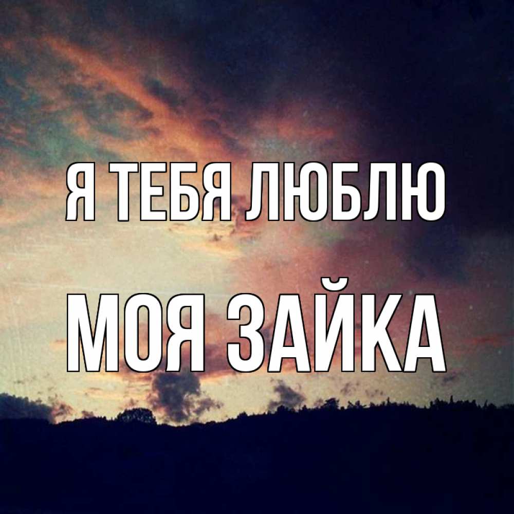 Открытка на каждый день с именем, моя-зайка Я тебя люблю закат Прикольная открытка с пожеланием онлайн скачать бесплатно 