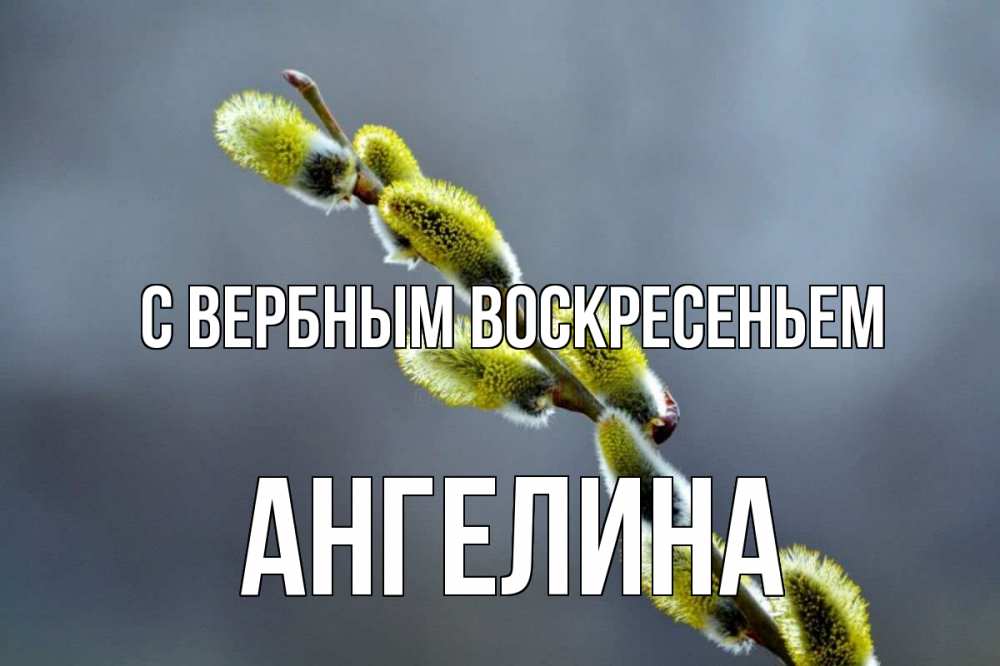 Открытка на каждый день с именем, Ангелина С вербным воскресеньем верба Прикольная открытка с пожеланием онлайн скачать бесплатно 