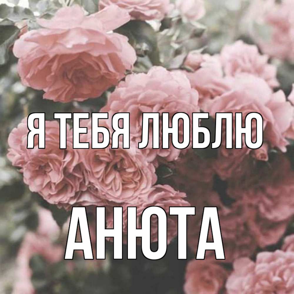 Открытка на каждый день с именем, Анюта Я тебя люблю розы 3 Прикольная открытка с пожеланием онлайн скачать бесплатно 