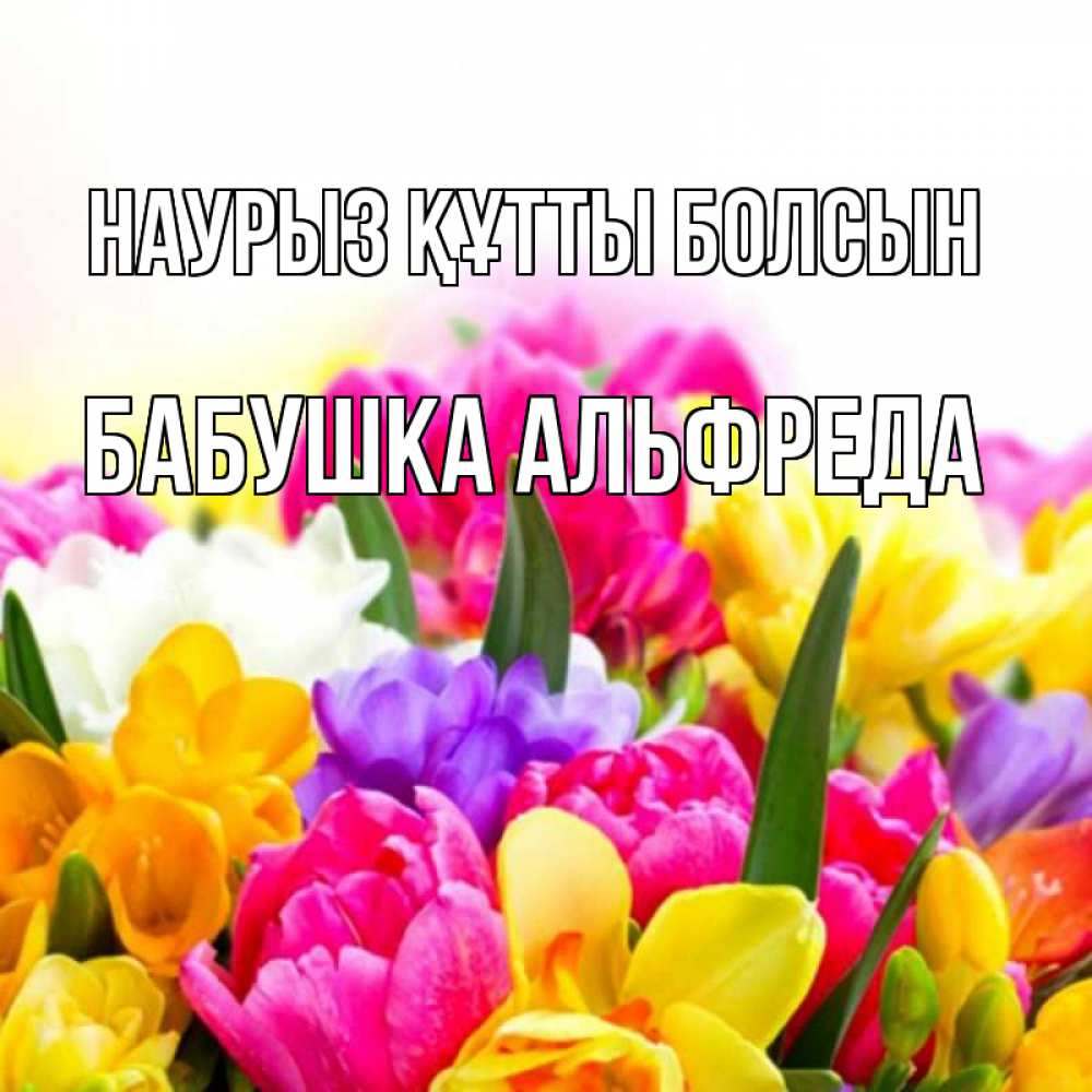 Открытка на каждый день с именем, Бабушка-Альфреда Наурыз құтты болсын тюльпаны Прикольная открытка с пожеланием онлайн скачать бесплатно 