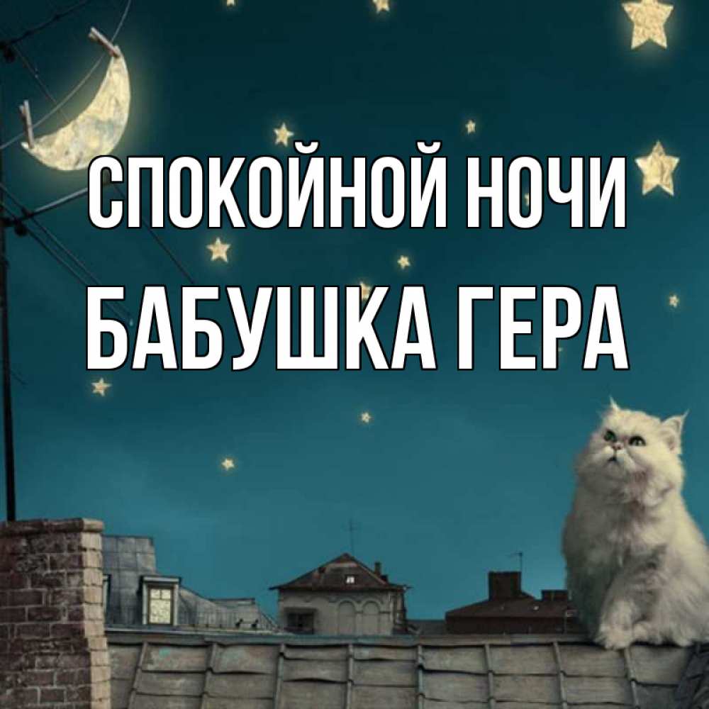 Открытка на каждый день с именем, Бабушка-Гера Спокойной ночи белый кот сидит на крыше Прикольная открытка с пожеланием онлайн скачать бесплатно 