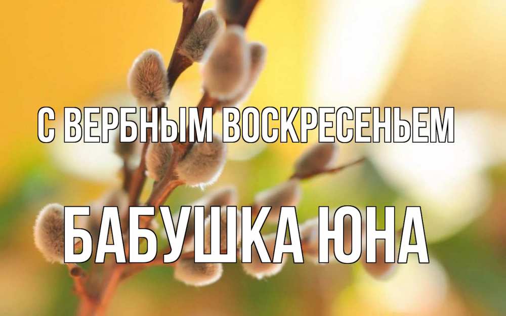 Открытка на каждый день с именем, Бабушка-Юна С вербным воскресеньем верба Прикольная открытка с пожеланием онлайн скачать бесплатно 