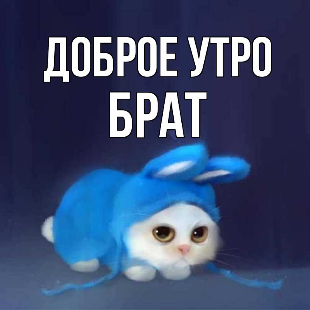 Открытка на каждый день с именем, Брат Доброе утро открытки красивые скачать бесплатно Прикольная открытка с пожеланием онлайн скачать бесплатно 
