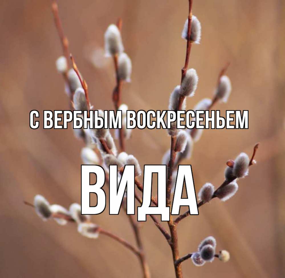Открытка на каждый день с именем, Вида С вербным воскресеньем верба Прикольная открытка с пожеланием онлайн скачать бесплатно 