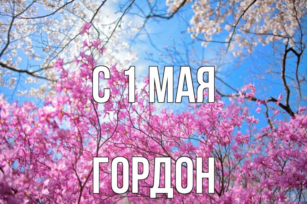 Открытка на каждый день с именем, Гордон С 1 мая С 1 мая Прикольная открытка с пожеланием онлайн скачать бесплатно 