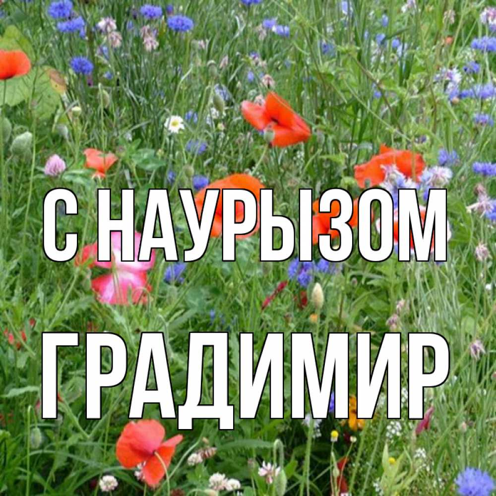 Открытка на каждый день с именем, Градимир С наурызом праздник весны наурыз супер открытка Прикольная открытка с пожеланием онлайн скачать бесплатно 