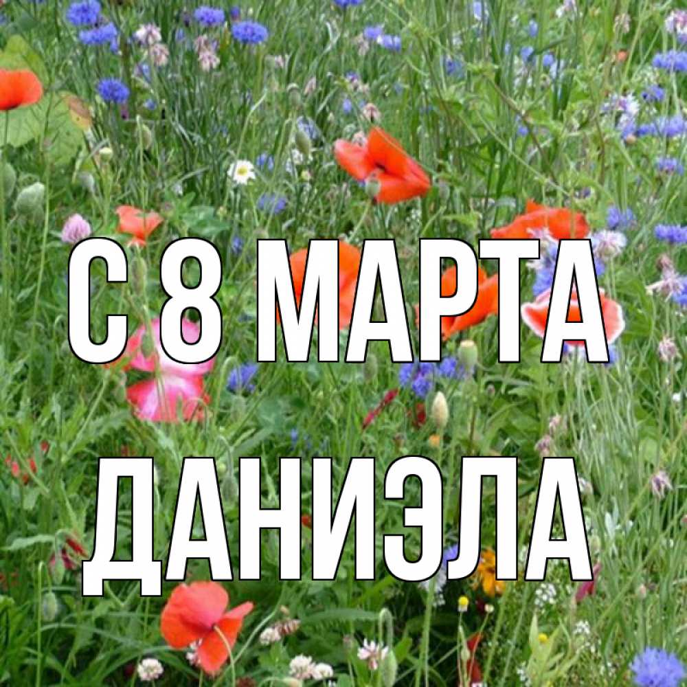 Открытка на каждый день с именем, Даниэла С 8 МАРТА международный женский день 4 Прикольная открытка с пожеланием онлайн скачать бесплатно 